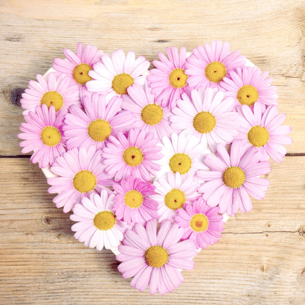 Summer Flowers: Inspiration for Date Night