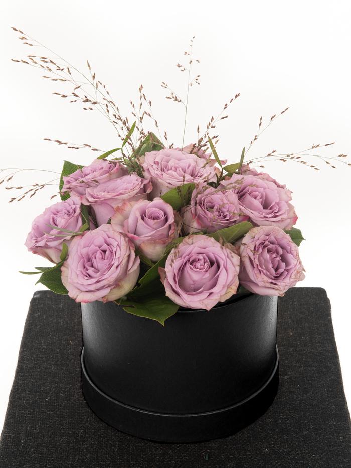 MyCandy2_700x_d467cb59f1d64ed8b530ae701b219d39_1200x1200.jpg?v